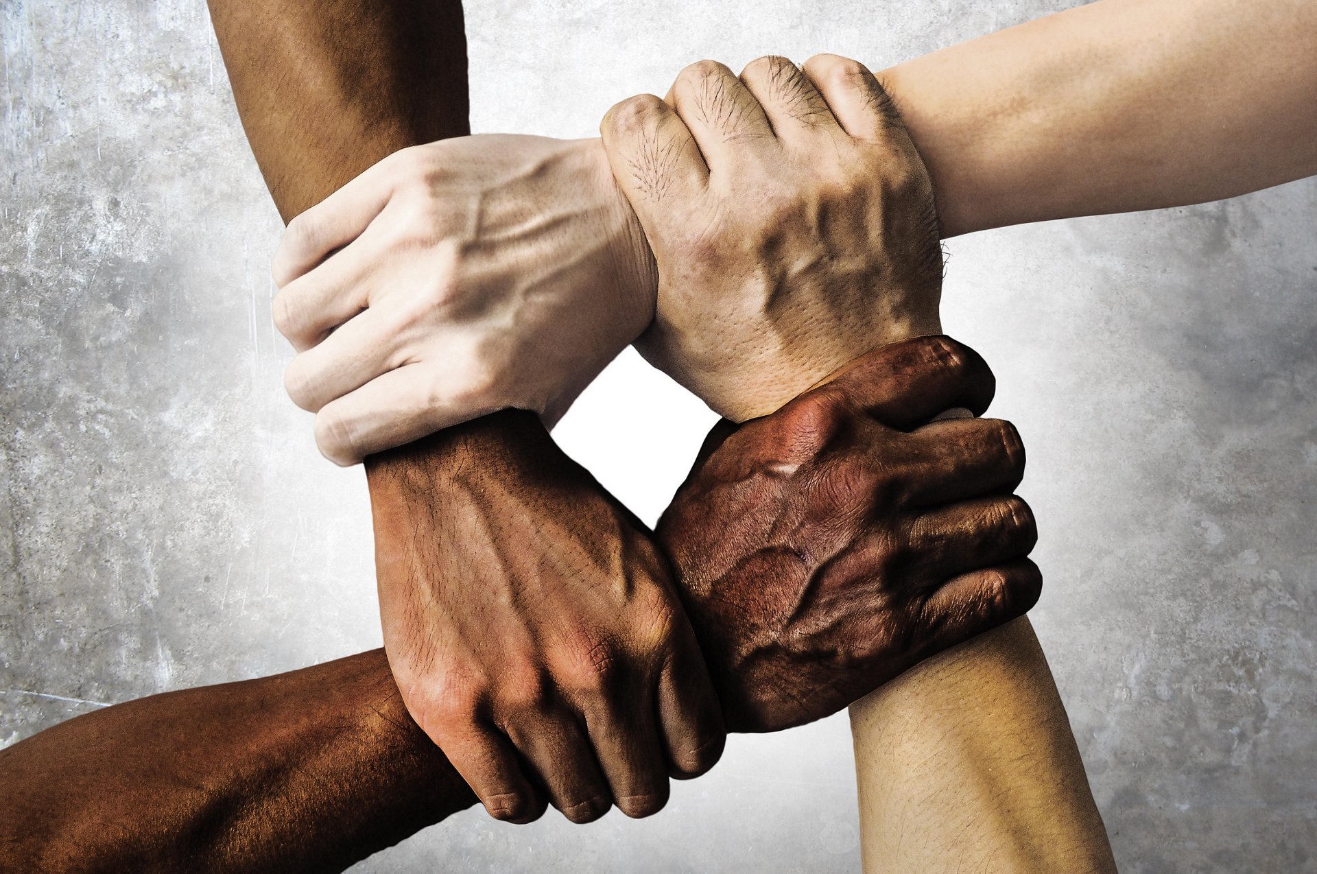 multiracial group with black african American Caucasian and Asian hands holding each other wrist in tolerance unity love and anti racism concept isolated on grunge background