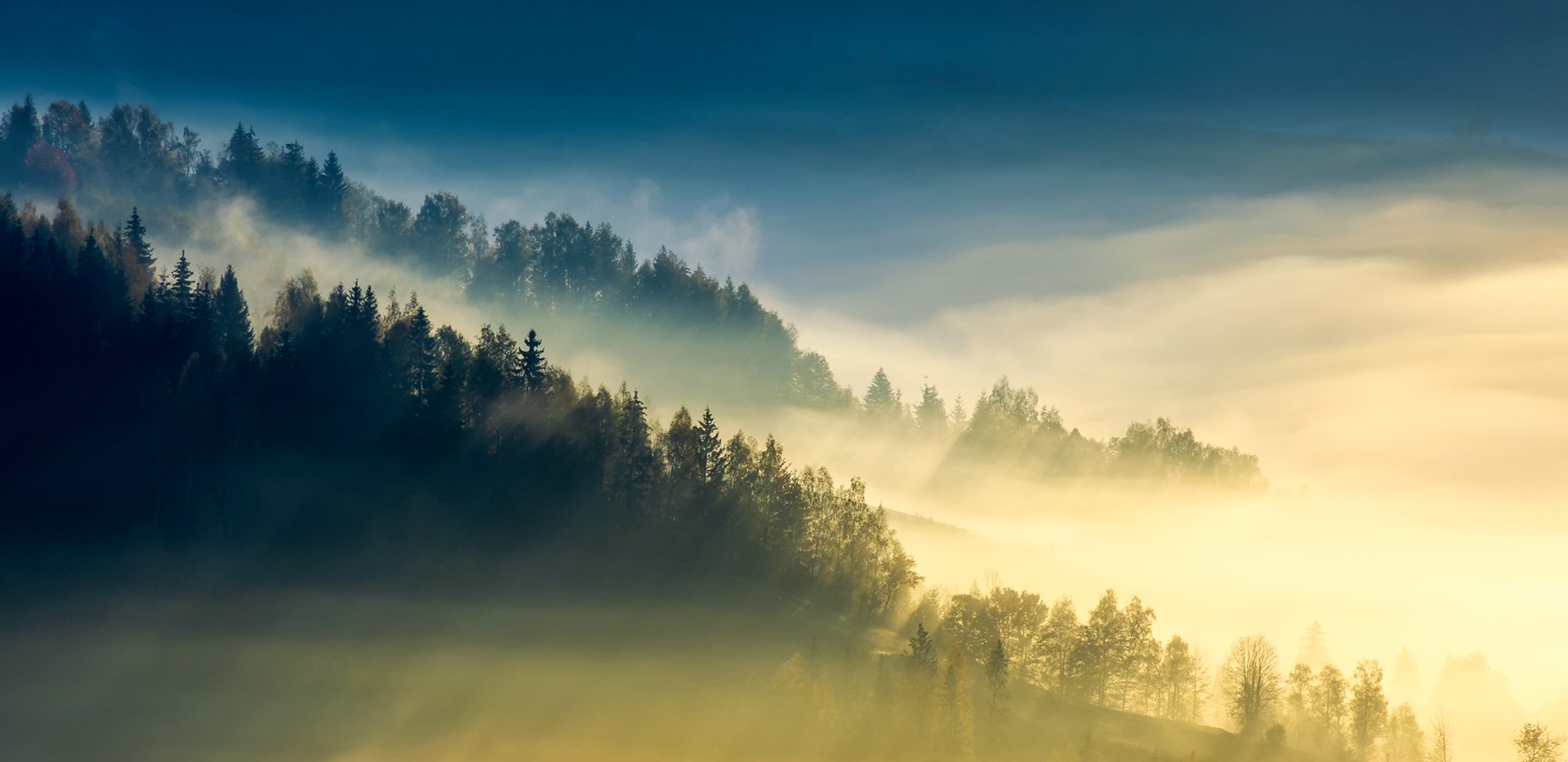 GRI reporting & performance data