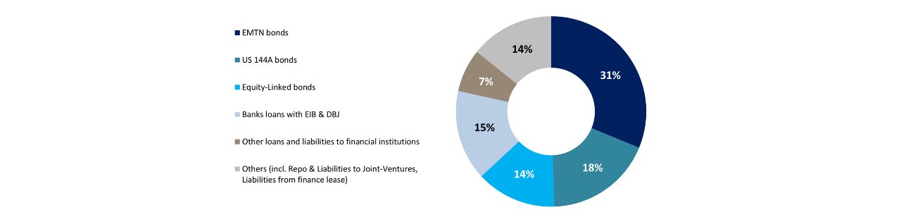 Hedging & Debt Information