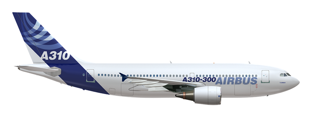 A310