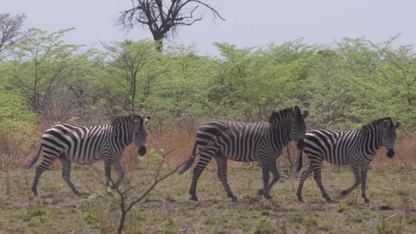 Namibia Ministry Of Environment And Tourism