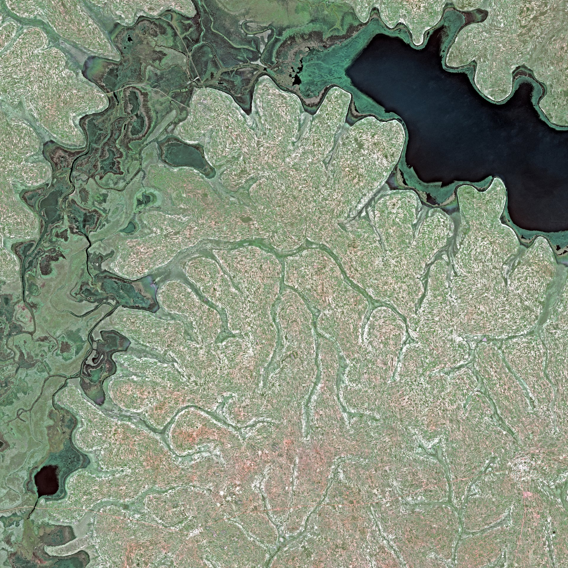 An example of Earth observation imagery supplied by an Airbus-produced satellite.  