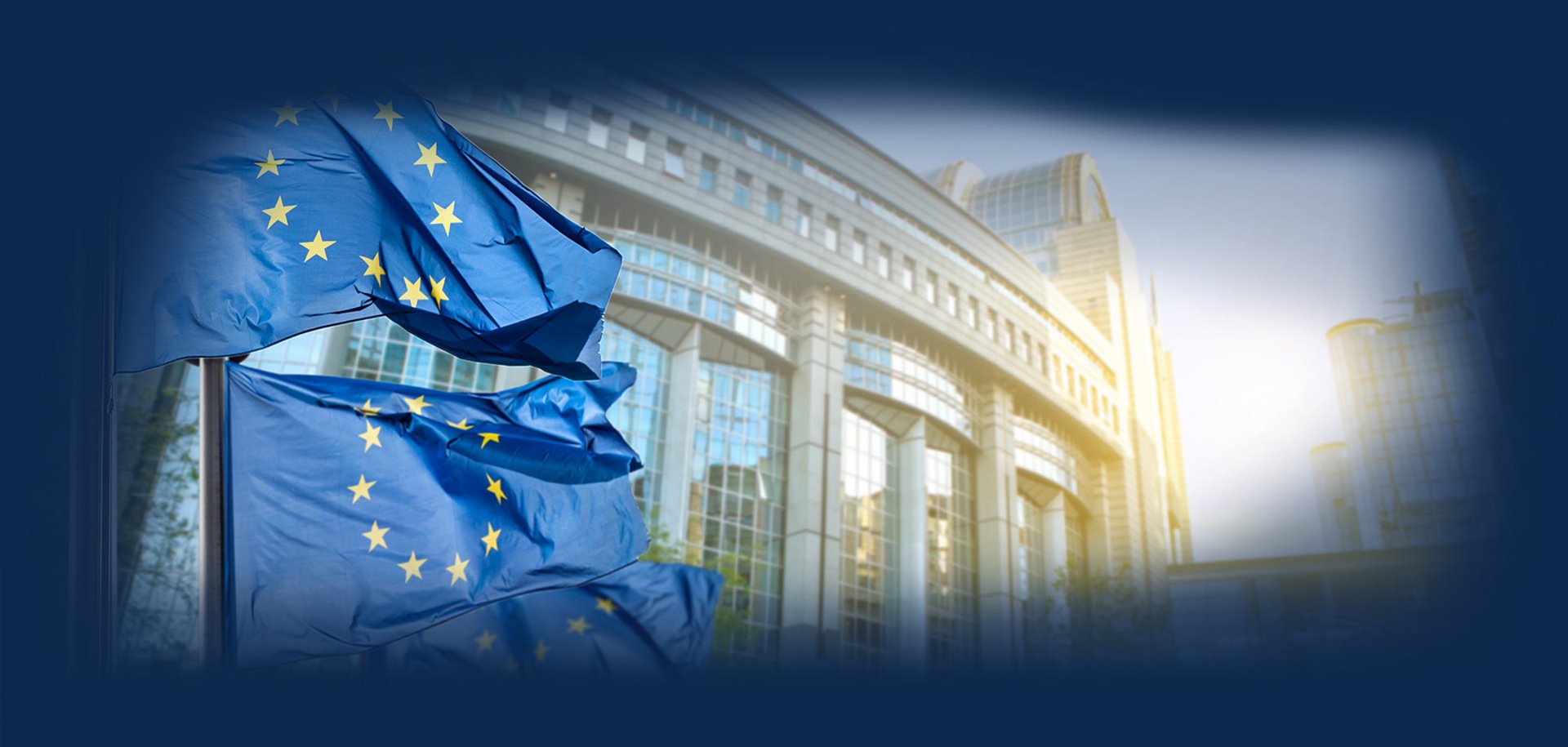 European Parliament flags and building