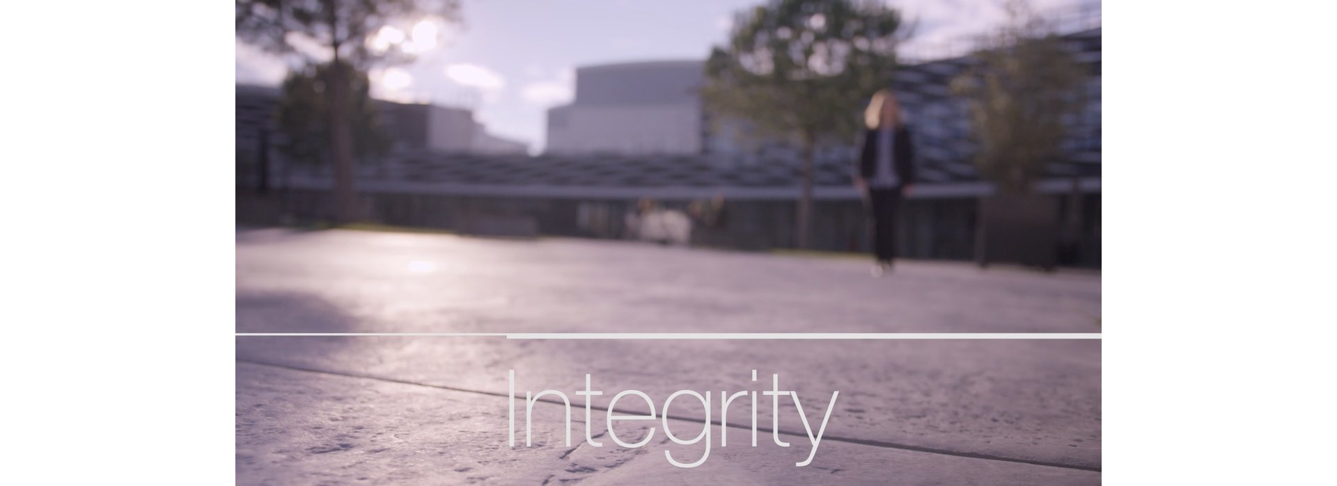 Values - Integrity