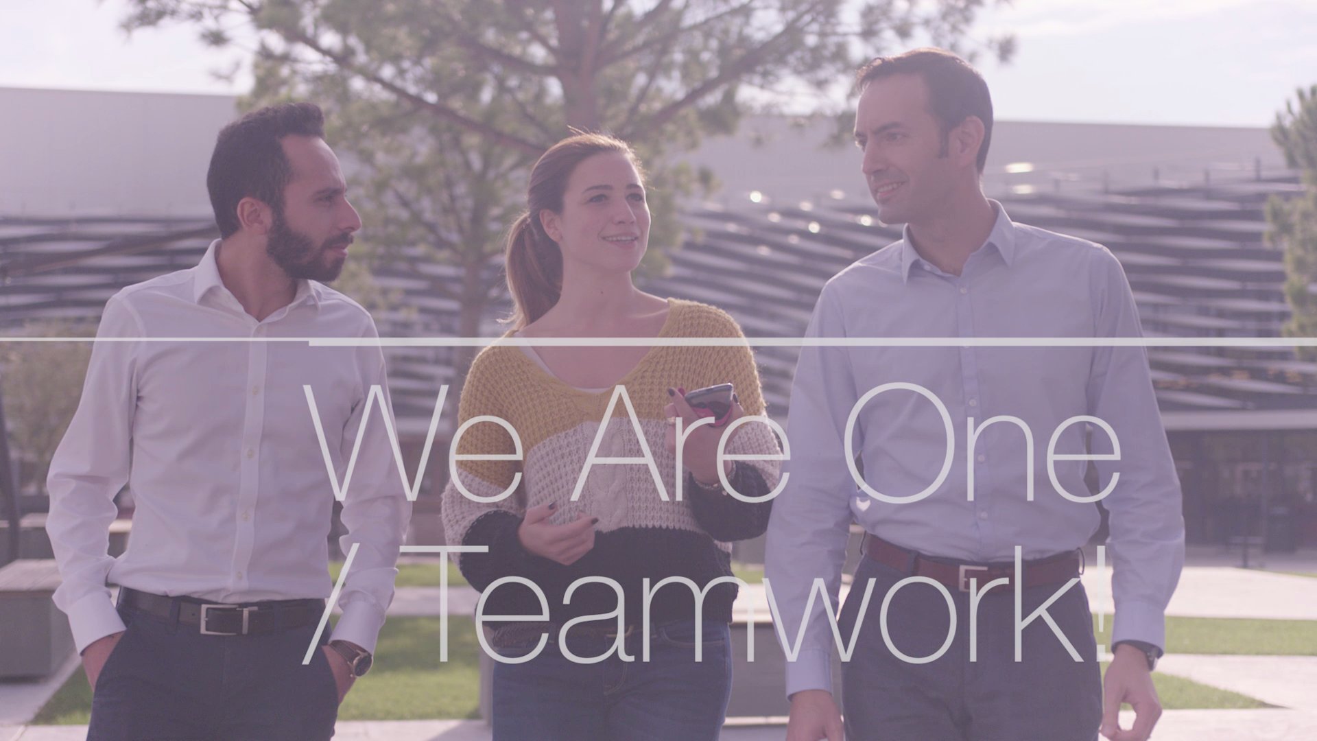 Values - We Are One