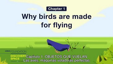 Las aves, máquinas voladoras perfectas