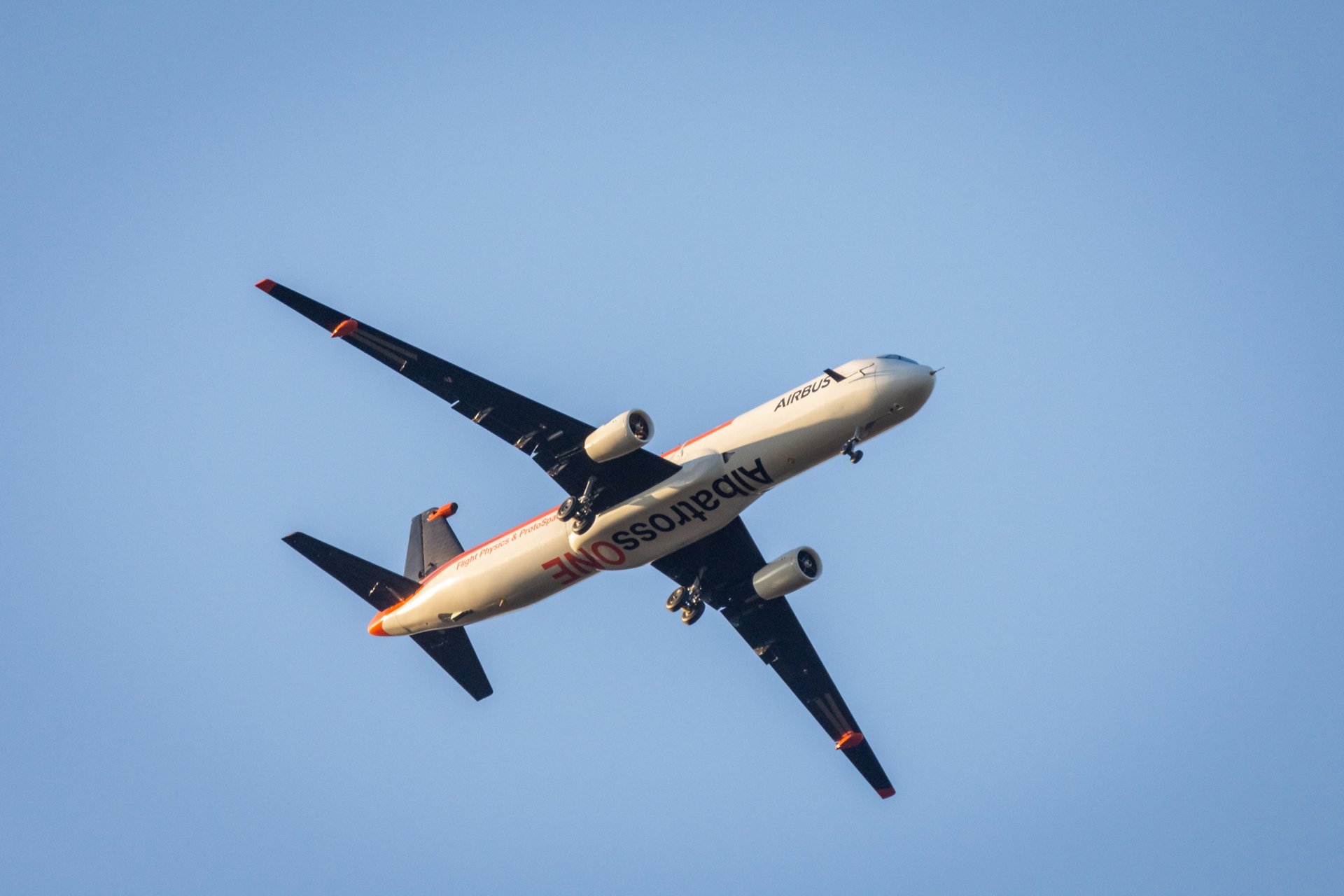Airbus engineers have developed a scale-model aeroplane with the first in-flight, flapping wing-tips that could revolutionise aircraft wing-design.