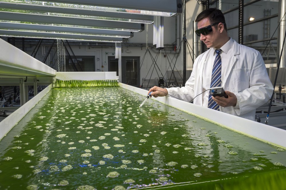 Research on biofuel from algae starts at Ludwig Bölkow Campus, uniting Technical University of Munich, Airbus Group & Partners. The 1,500 square meter building houses three areas for algae cultivation, as well as laboratory and office space. The building’s façade is comprised of special highly transparent glass that also lets ultraviolet light pass through while elaborate climate technology and additional LED lighting allows the simulation of light and climate conditions of practically any location on Earth. The strategy of Airbus Group Innovations is to focus the research of its partners on sustainable sources of biomass, as an example with micro-algae, which have emerged as one of the most promising sources of biofuels.