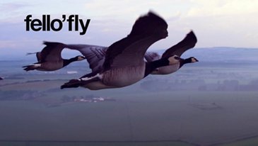 fello’fly: a flight demonstrator project inspired by nature 