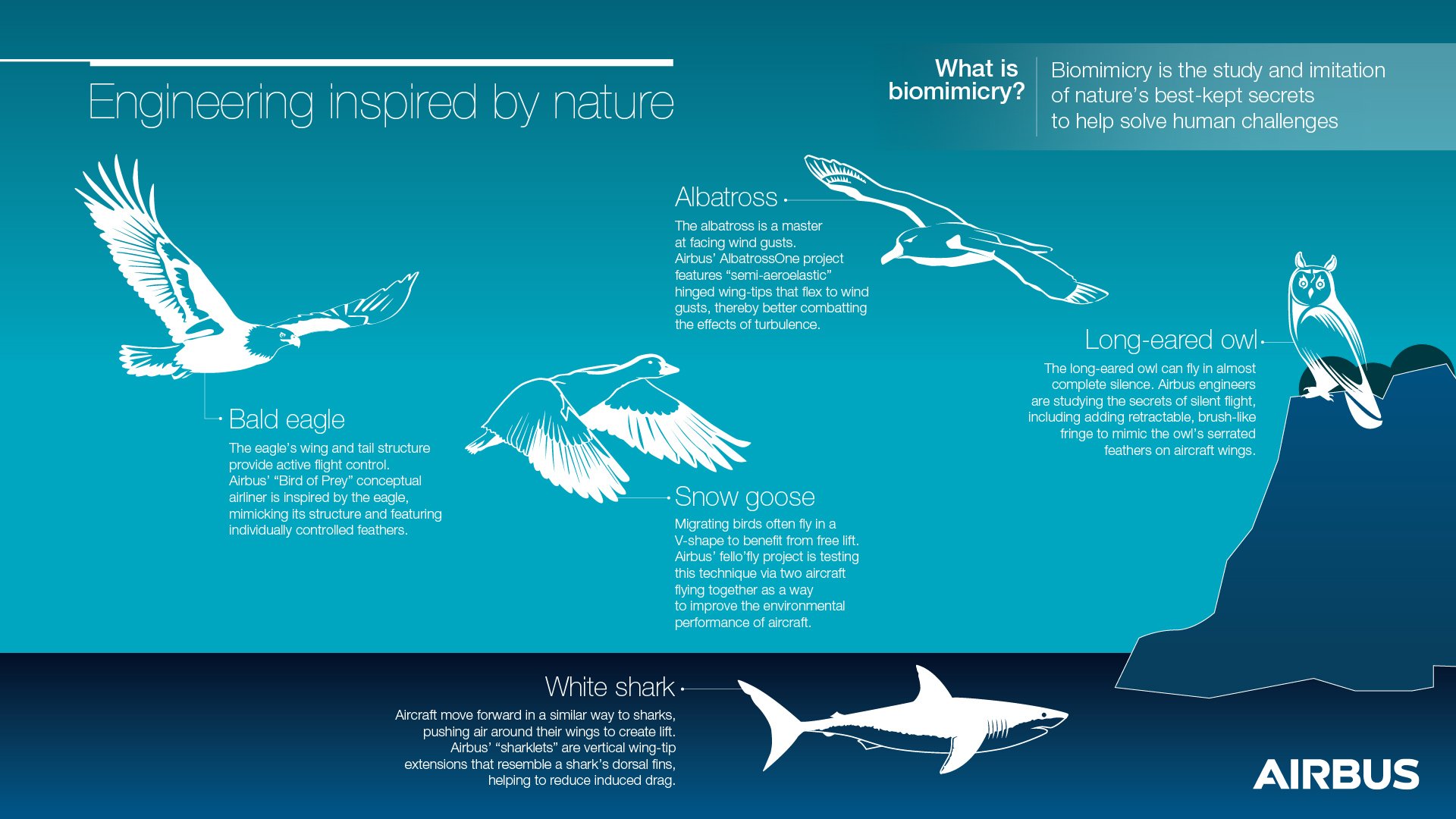 Engineering inspired by nature