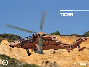 Mini Poster Tiger