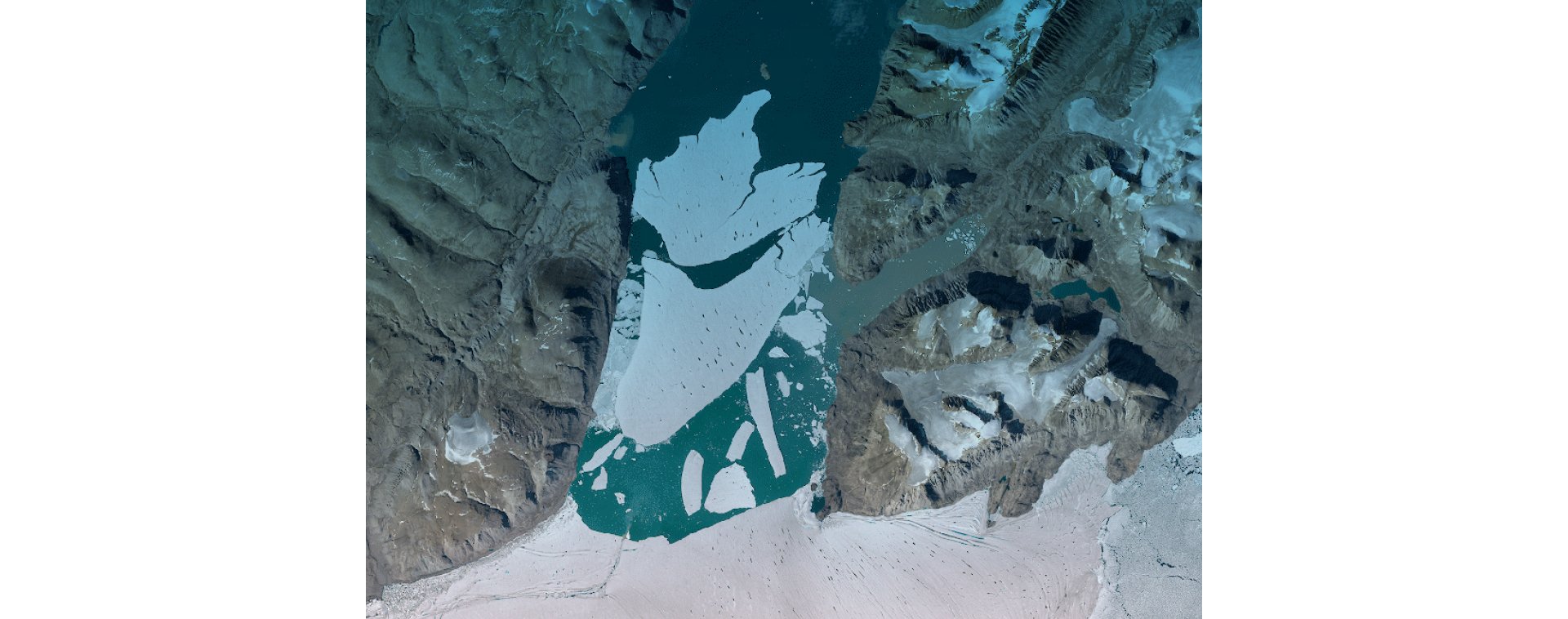 Space insights for climate action