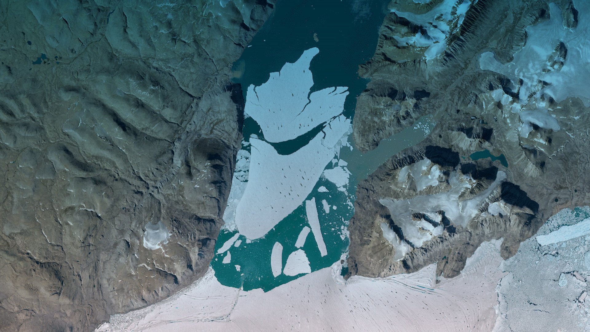 Space insights for climate action
