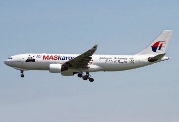 A330 Malaisian special panda livery