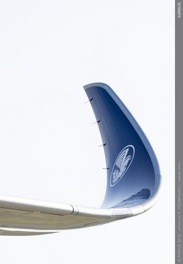 法航A350-900机翼