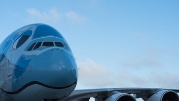 ANA’s Hawaiian Green Sea Turtle A380