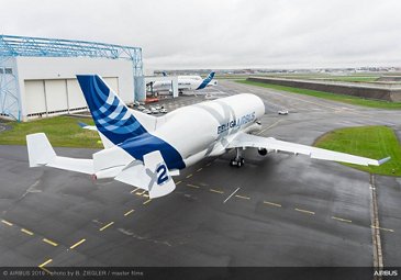 Beluga