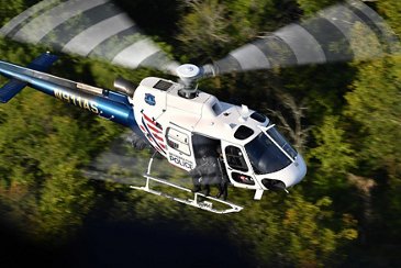 H125