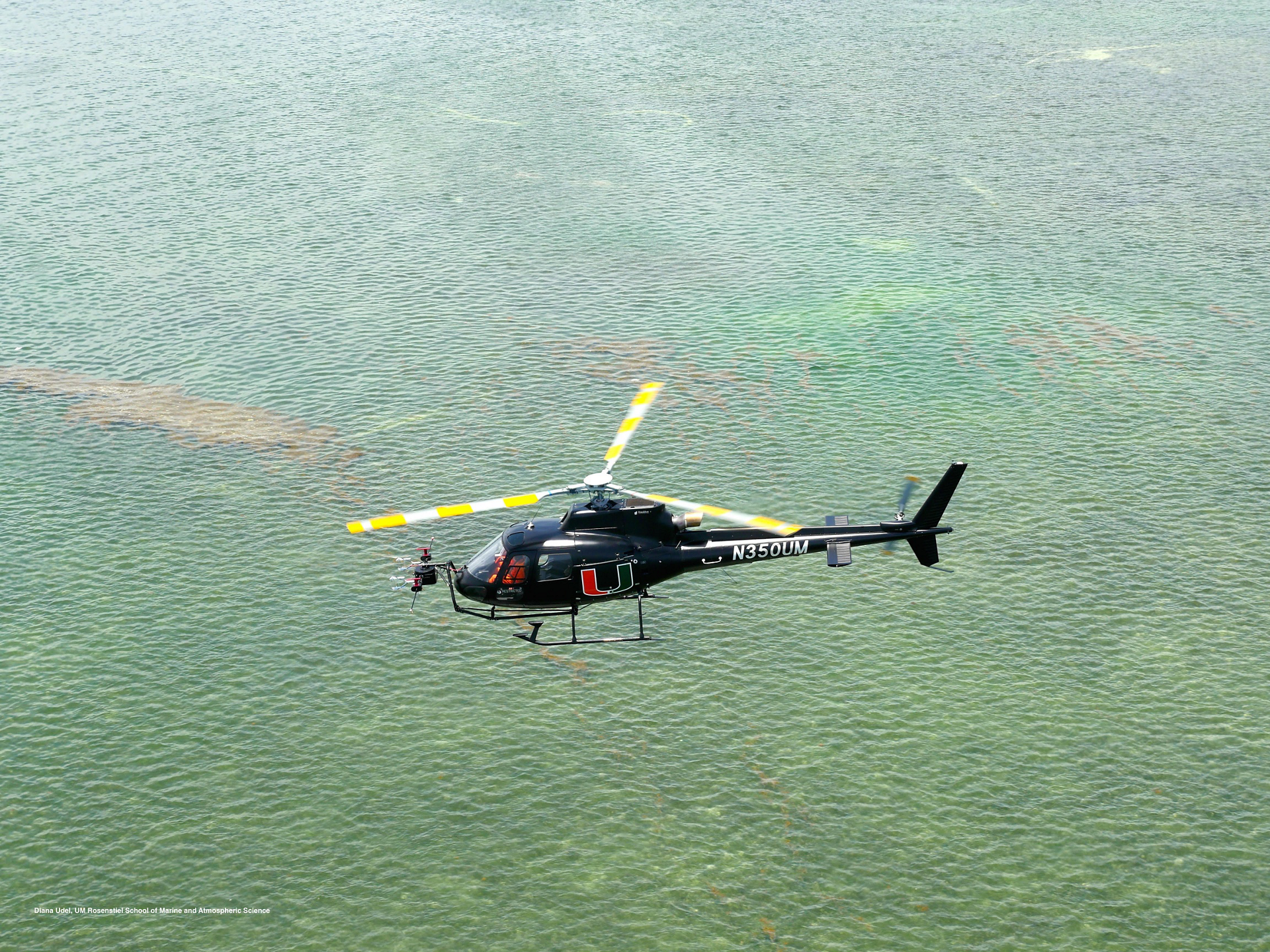 A close-up view of maintenance performed on an NH90 military helicopter.