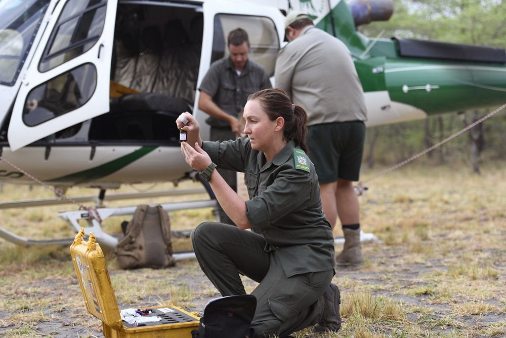 The activities of the Namibian Ministry of Environment and Tourism include anti-poaching patrols, game capture, aerial surveys and game counts, VIP transport, general park management flights.