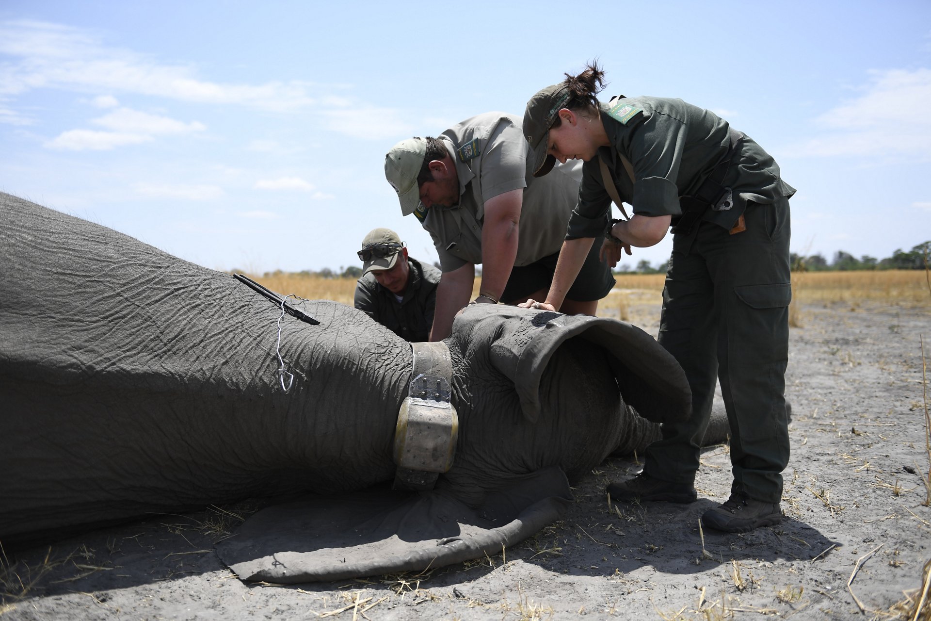 “Our aircraft falls under wildlife support services,” says Carl-Heinz Moeller, chief pilot for the Namibian Ministry of Environment and Tourism. “We often fly areas that we usually don’t see from the ground, and we can see when there is a problem happening in that area. The helicopter helps in alerting our team to that problem.” 