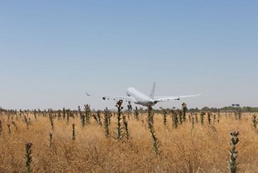 A330 MRTT MMF01 Ferry Flight