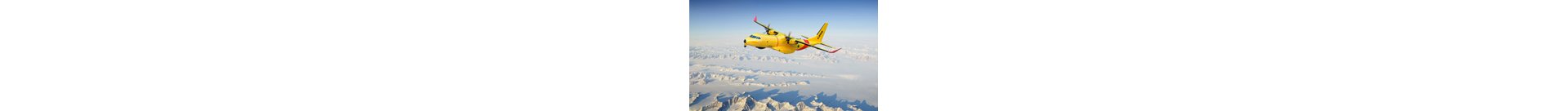 C295 flyning over mountains