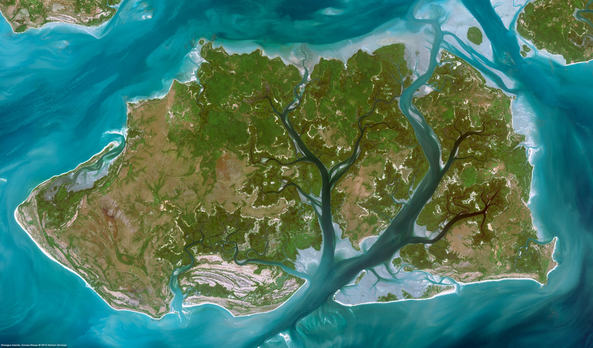 Airbus’ Starling service enables companies to monitor their anti-deforestation commitments.