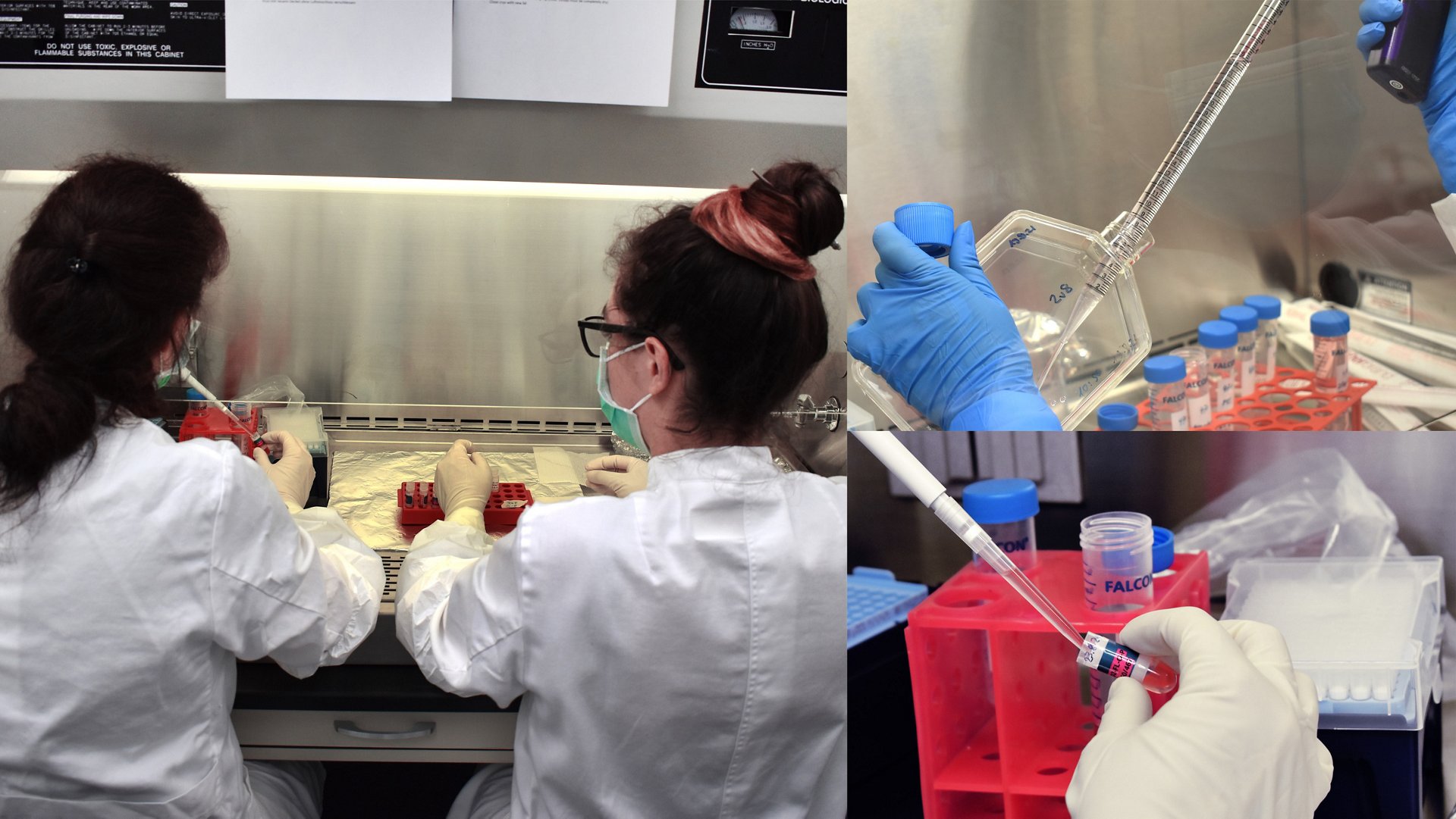 With the next supply flight to the International Space Station (ISS), the Space Hub of the University of Zurich (UZH) and Airbus Defence and Space are bringing an experiment into space, which is intended to further advance the industrial production of human tissue in zero-gravity conditions. With this step, space could become a workshop for producing miniature human tissue for terrestrial use in research and medicine. Initial preparatory tests on the ISS 18 months ago were successful.