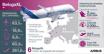 BELUGAXL-INFOGRAPHIC